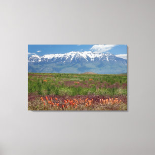 Toile Utah, États-Unis. Le mont Timpanogos s'élève au-de