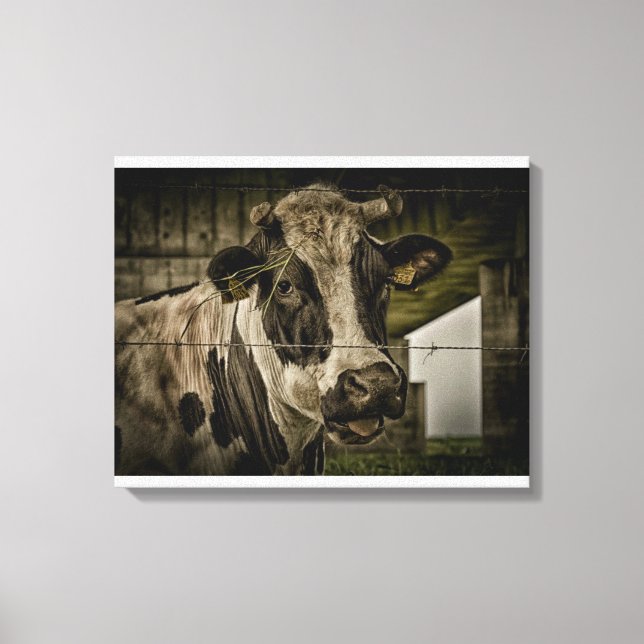Toile vache (Recto)