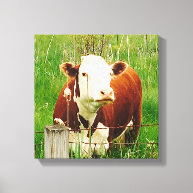Toile Vache Curieuse Mignonne 4Carrie (Recto)