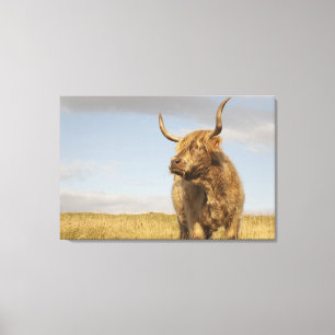 Toile Vache des montagnes