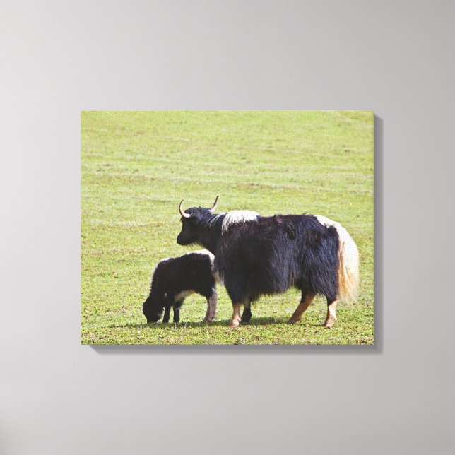 Toile Vache et veau Yak, Lijiang (Recto)