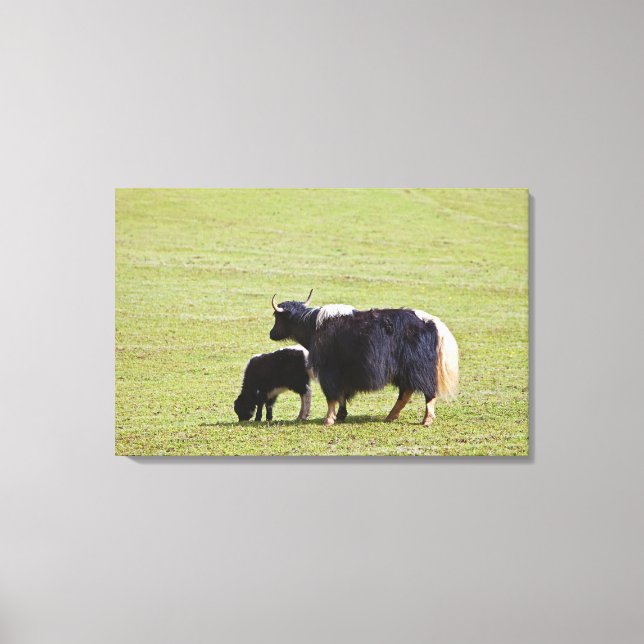 Toile Vache et veau Yak, Lijiang (Recto)