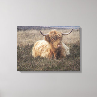 Toile Vache Highland sur Dartmoor