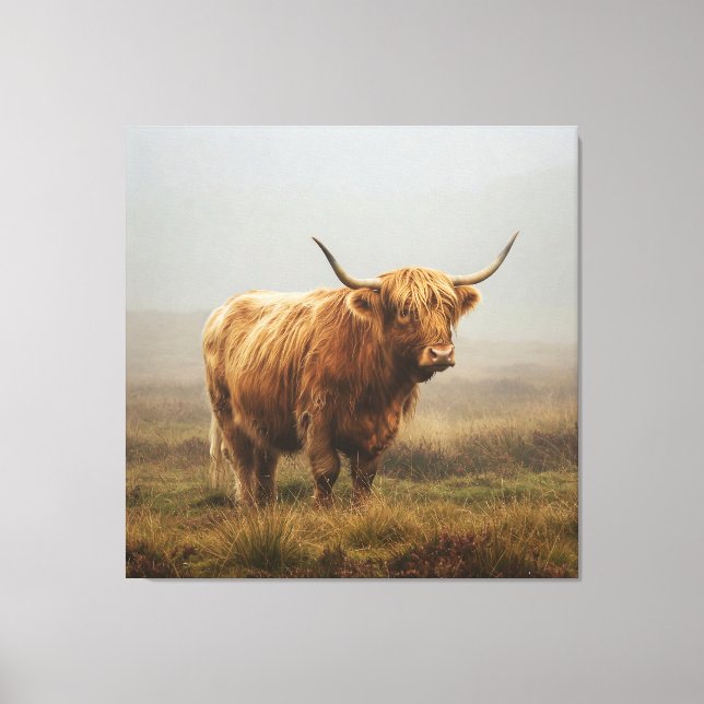 Toile Vache Highland sur DAWN (Recto)