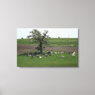 Toile Vaches assises sous un arbre Paysage de ferme du M