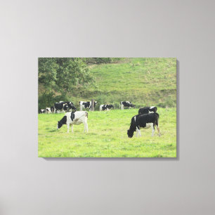 Toile Vaches dans le pays Pâturage Photo Mur Canvas Art