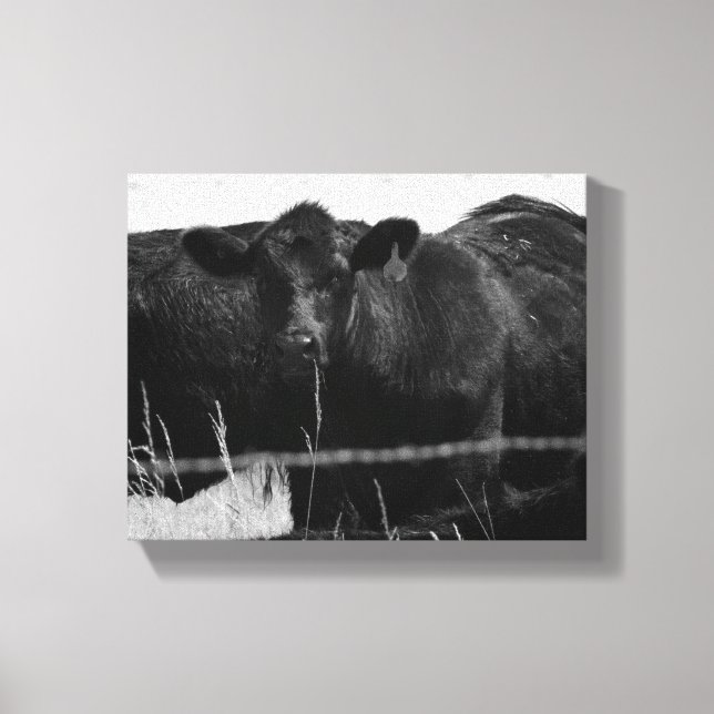 Toile Vaches noires et blanches derrière la clôture en f (Recto)