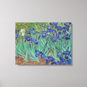 Toile Van Gogh Peinture classique Irises Floral Botaniqu