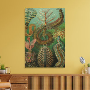 Toile Vers Annélides Chaetopoda vintage par Ernst Haecke