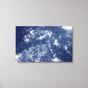 Toile Vers le haut dans les arbres - Effet Cyanotype