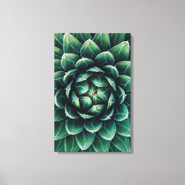 Toile Vert et blanc Succulent (Recto)