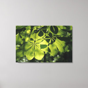 Toile Vert sept feuilles de point avec l'illumination de