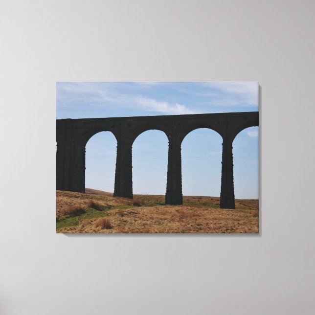 Toile Viduelle à tête de ruban (Recto)