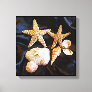 Toile vie marine de coquillages d'étoiles de mer
