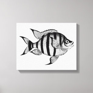 Toile vie marine de poisson vintage illustration des ani