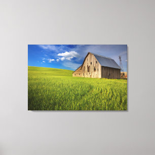 Toile Vieille grange dans un champ de blé de printemps