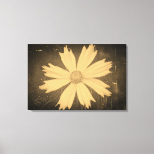 Toile Vielle photo Fleur de Cosmos Jaune Gros plan