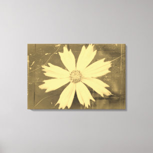 Toile Vielle photo Fleur de Cosmos Jaune Gros plan 2