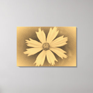 Toile Vielle photo Fleur de Cosmos Jaune Gros plan 3