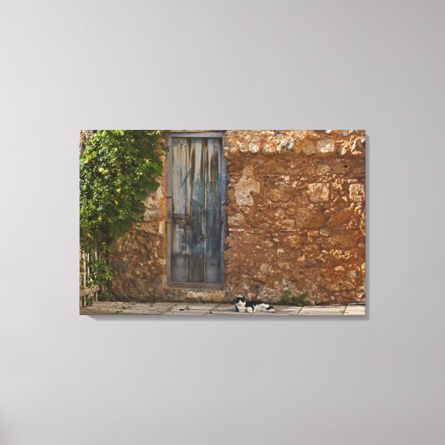 Toile Vielle porte et chat reposant (Recto)