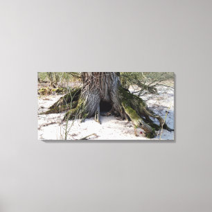 Toile Vieux arbre sur la rive , Vie de plage