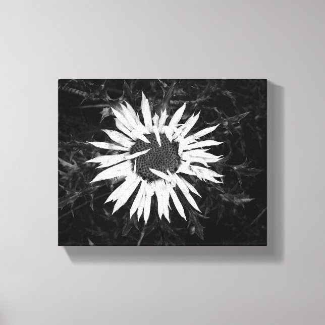 Toile Vieux Fleur (Recto)