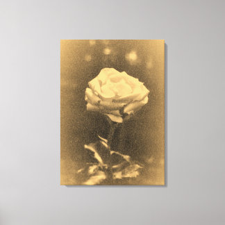 Toile Vieux Photo Belle Rose Rose Gros plan