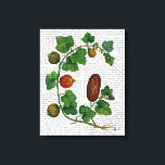 Toile Vigne de squash 3<br><div class="desc">Botanique et florale</div>