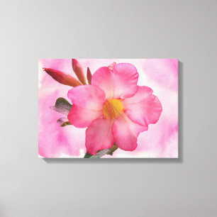 Toile Vigne Mandevilla rose