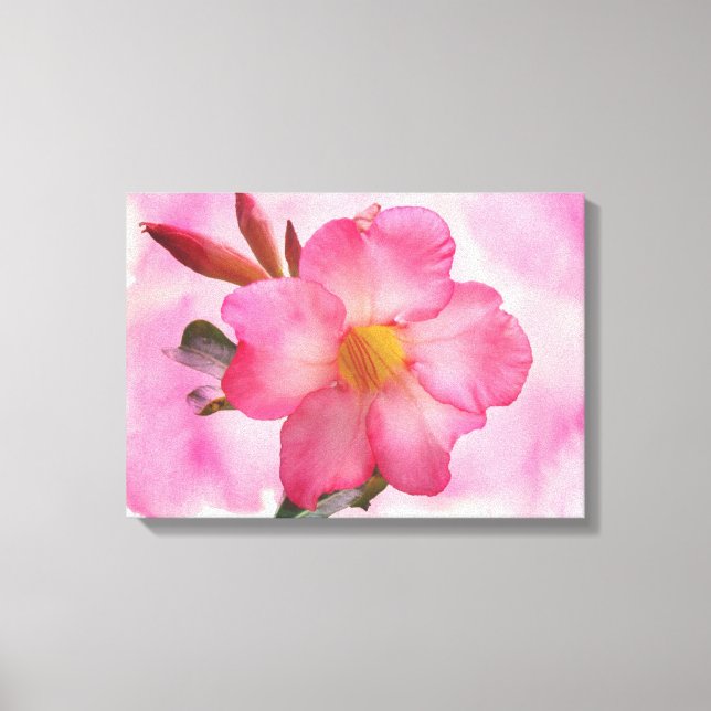 Toile Vigne Mandevilla rose (Recto)