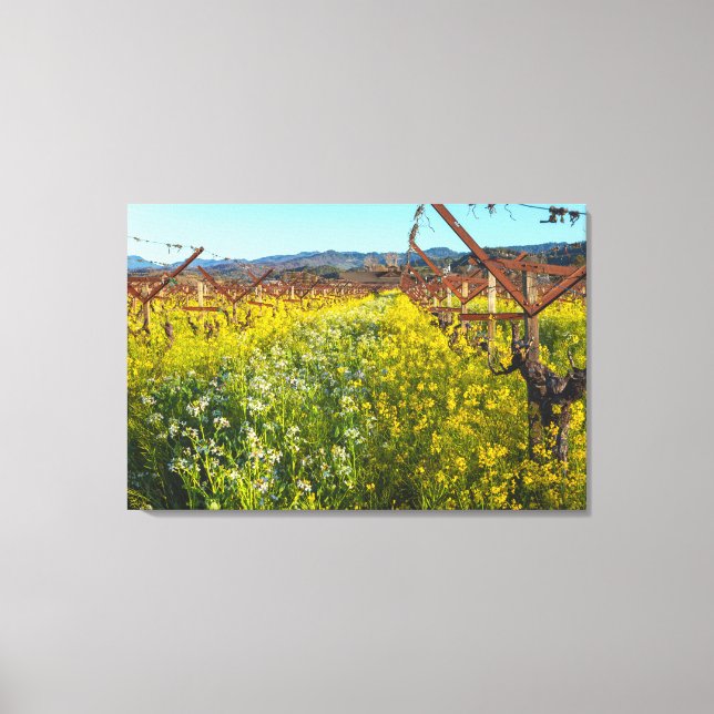 Toile Vignes et fleurs de moutarde (Recto)