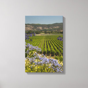 Toile Vignoble de vin et fleurs pourpres