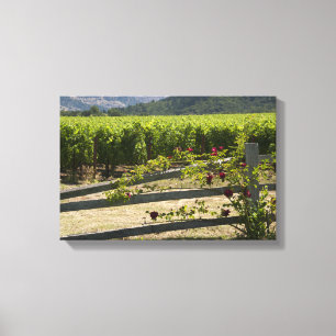 Toile Vignoble rustique et barrière rose