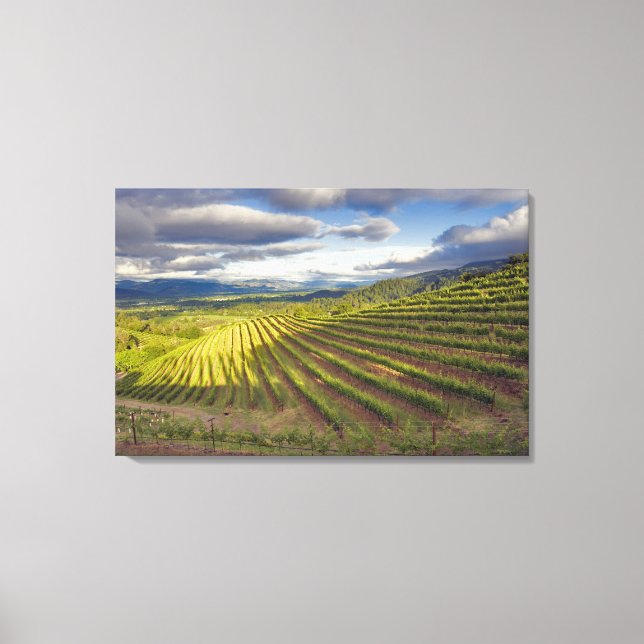 Toile Vignoble. Vallée de Napa. Napa. Comté de Napa, (Recto)