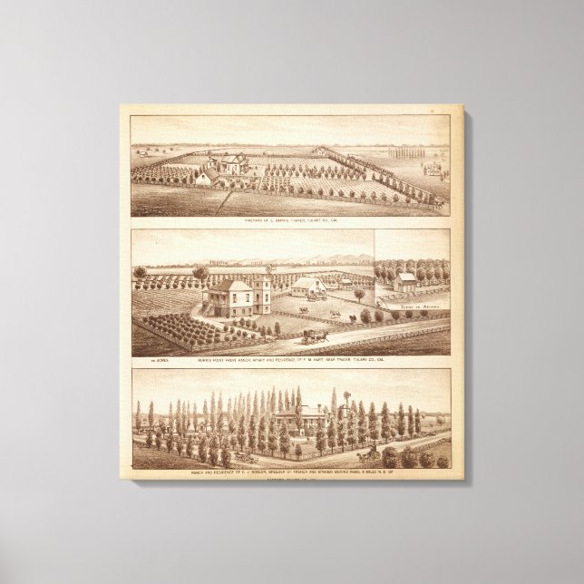 Toile Vignobles, ranch, Tulare Co, Calif (Recto)