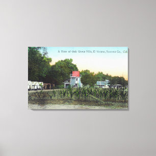 Toile Villa SceneEl Verano, CA de plantation de chêne