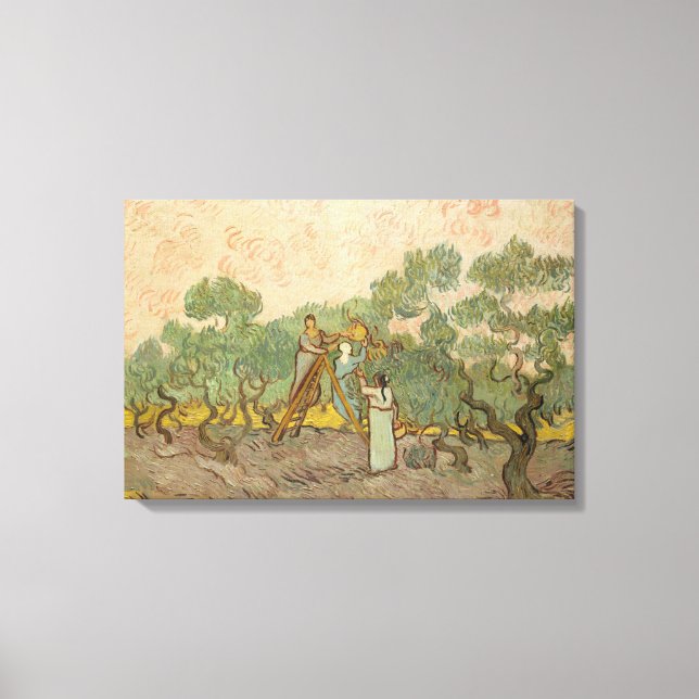 Toile Vincent van Gogh - Femmes cueillette d'olives (Recto)