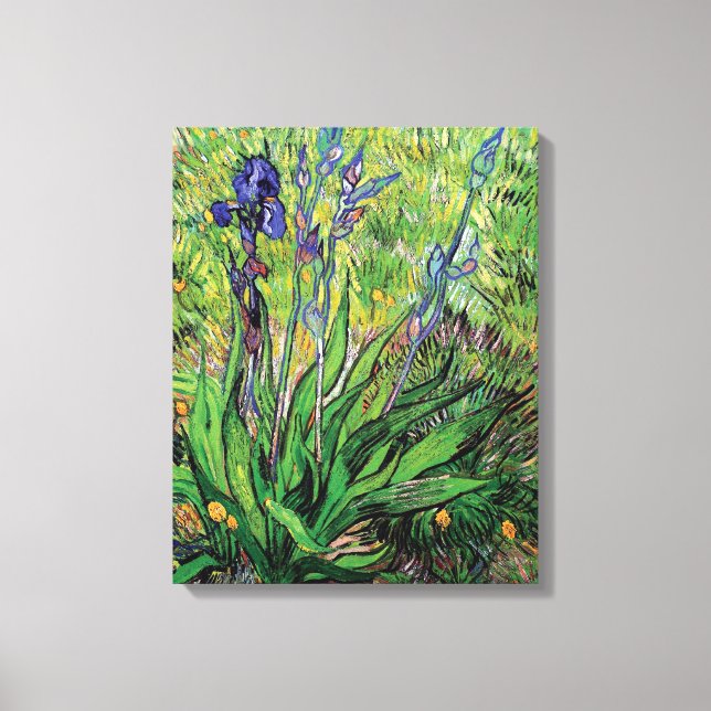 Toile Vincent Van Gogh - Iris Nature Lover Fine Art (Recto)
