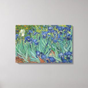 Toile Vincent van Gogh - Irises