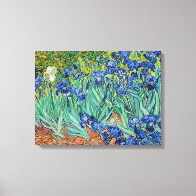 Toile Vincent Van Gogh - Irises (Recto)
