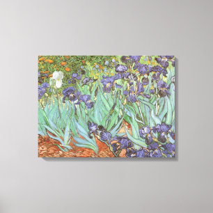Toile Vincent van Gogh - Irises