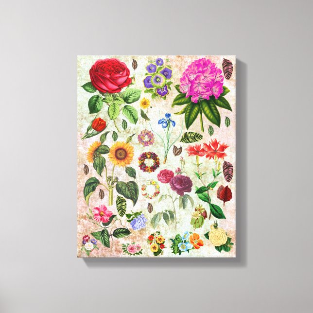 Toile Vintage Botanical Flower illustrations Nature art  (Recto)