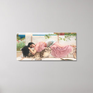 Toile Vintage Dame Élégante En Rose