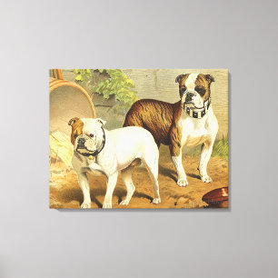 Toile Vintage painting of English Bulldogs