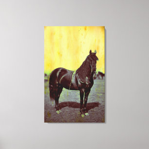 Toile Vintage Union de la Guerre Civile Horse Enveloppé 