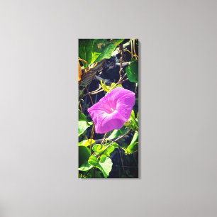Toile Violet