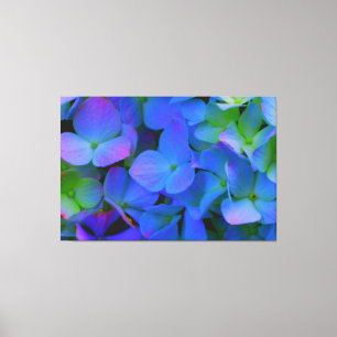 Toile Violet violet bleu rose Bleu Hydrangée fleurs