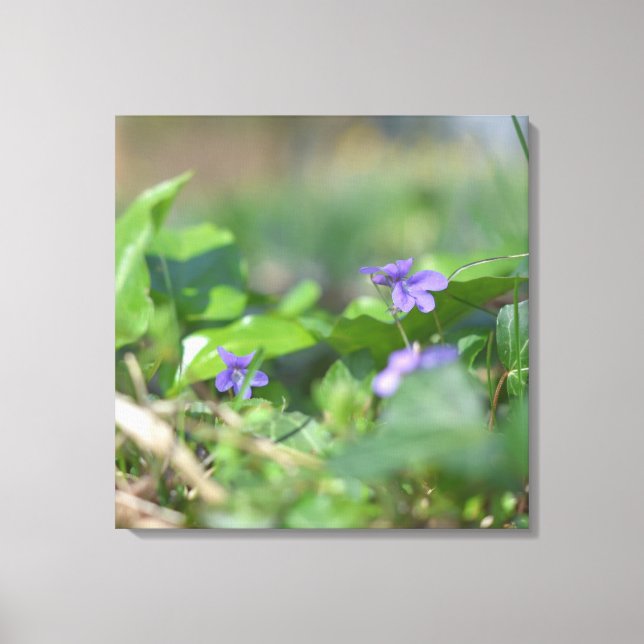 Toile Violets Bleus Fleur Floral Photographie Botanique (Recto)