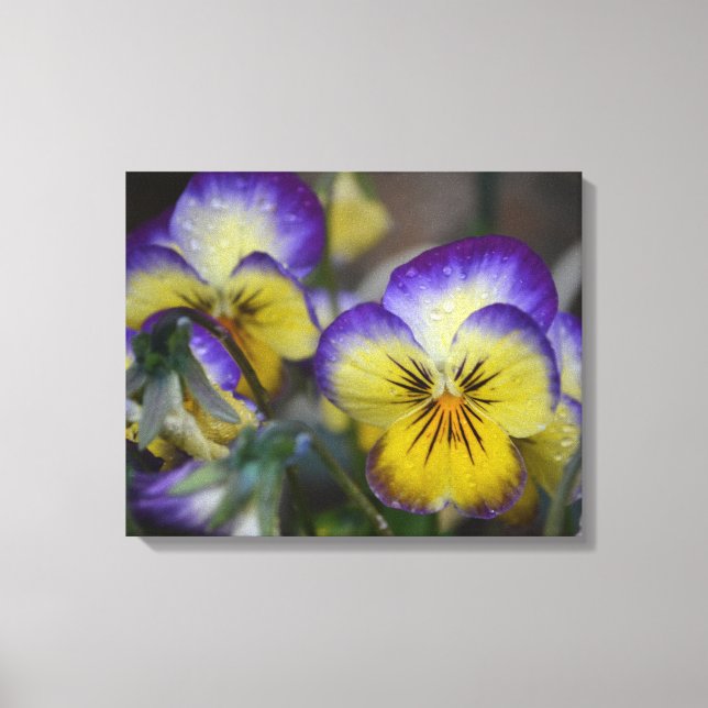 Toile violette et jaune enveloppée (Recto)