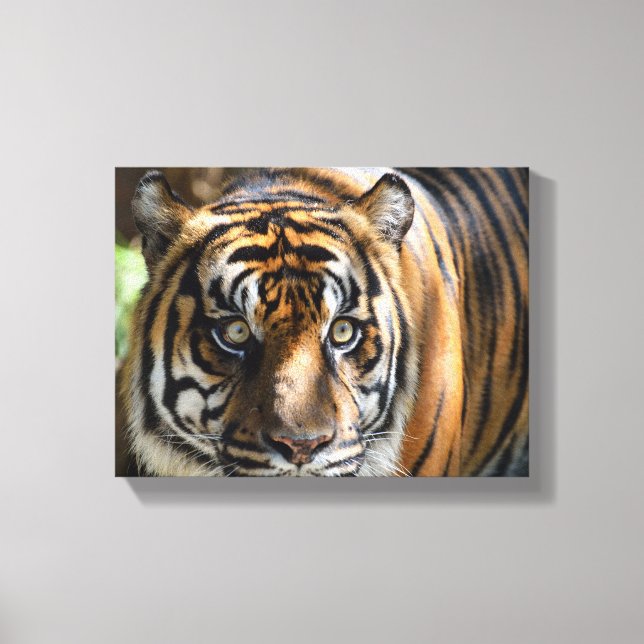 Toile visage majestueux de tigre (Recto)